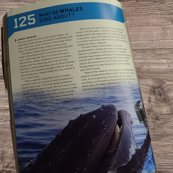 Book Of Answers - Picture 11 of 12